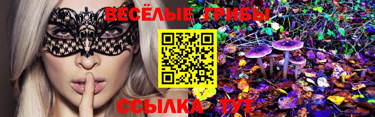 Псилоцибиновые грибы Psilocybine cubensis  Вход с VPN  Трёхгорный 